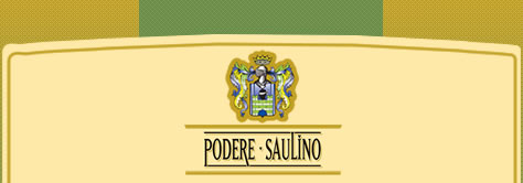 Podere Saulino